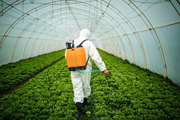 Best Insect Control  in Gilbertsville, PA