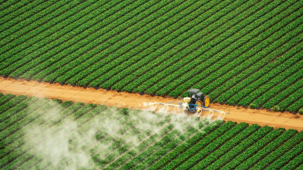 Pest Control Cost in Gilbertsville, PA