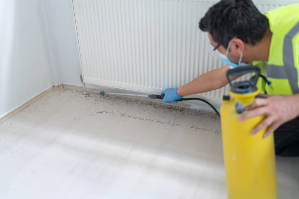 Best Pest Control Near Me in Gilbertsville, PA